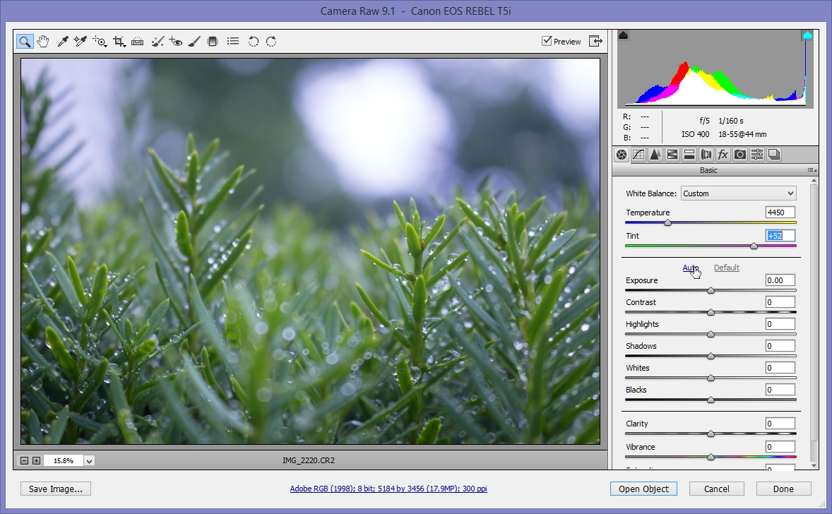2015-06-28 12_13_59-Camera Raw 9.1  -  Canon EOS REBEL T5i.jpg