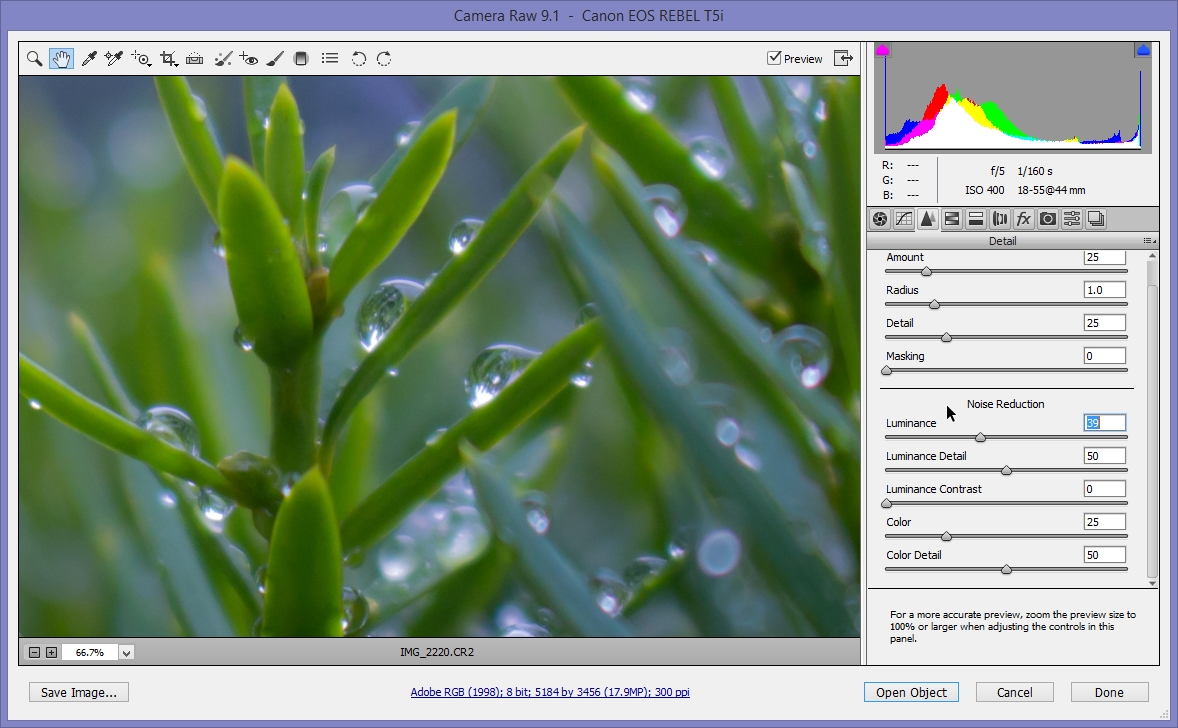 2015-06-28 12_23_11-Camera Raw 9.1  -  Canon EOS REBEL T5i.jpg