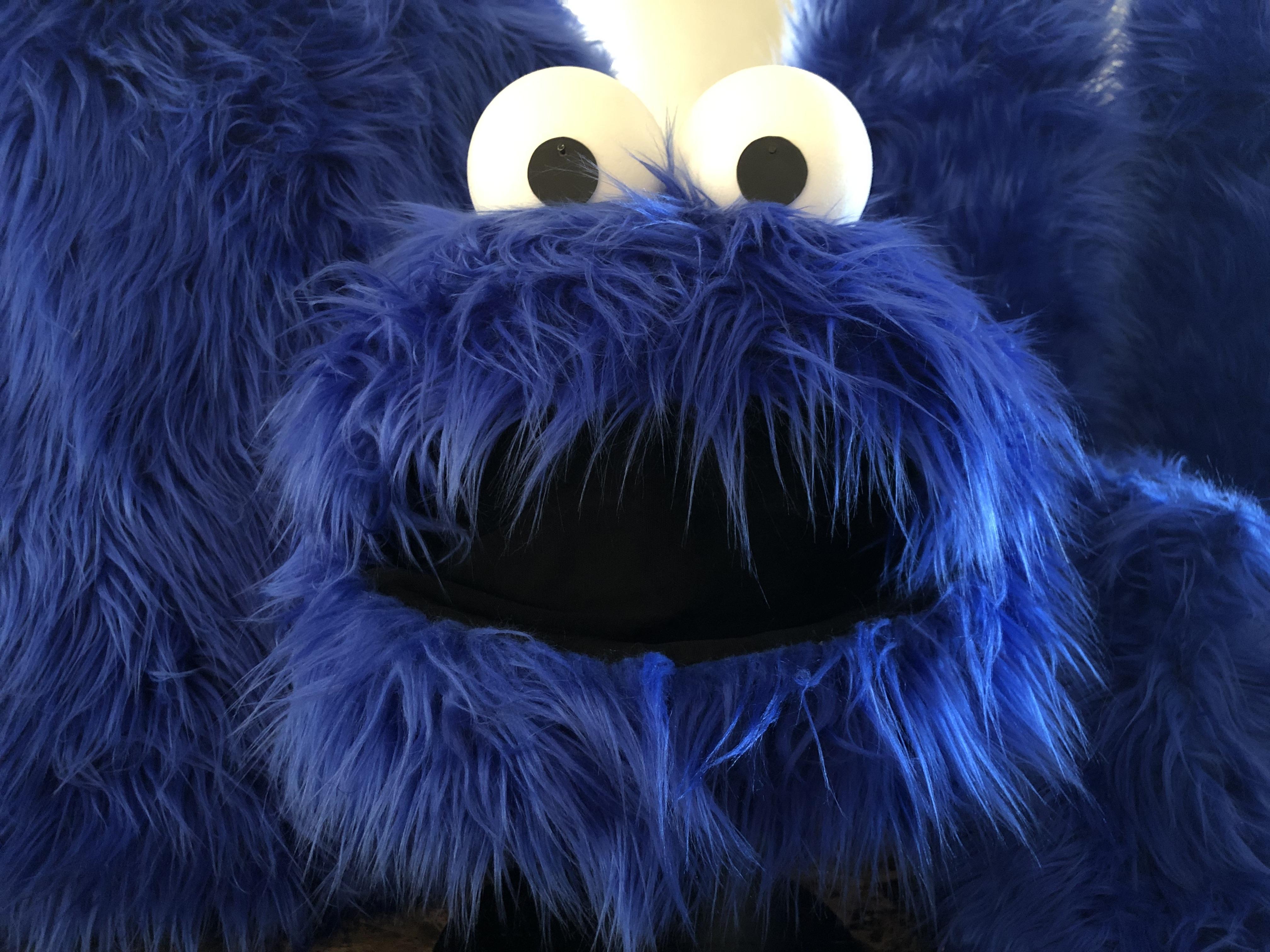 804 Cookie Monster Glam.JPG