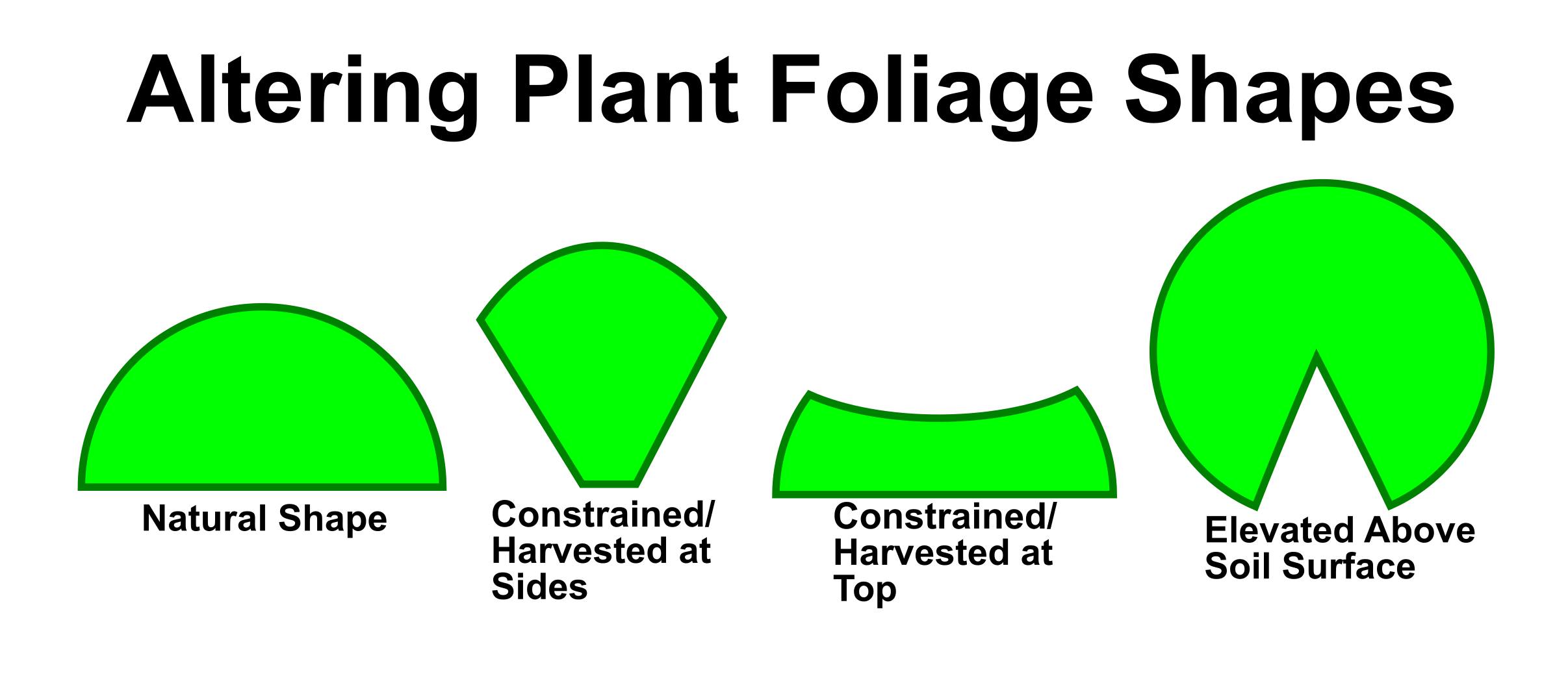 Altered_Foliage.png