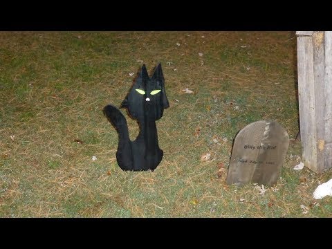 DIY Halloween Cat