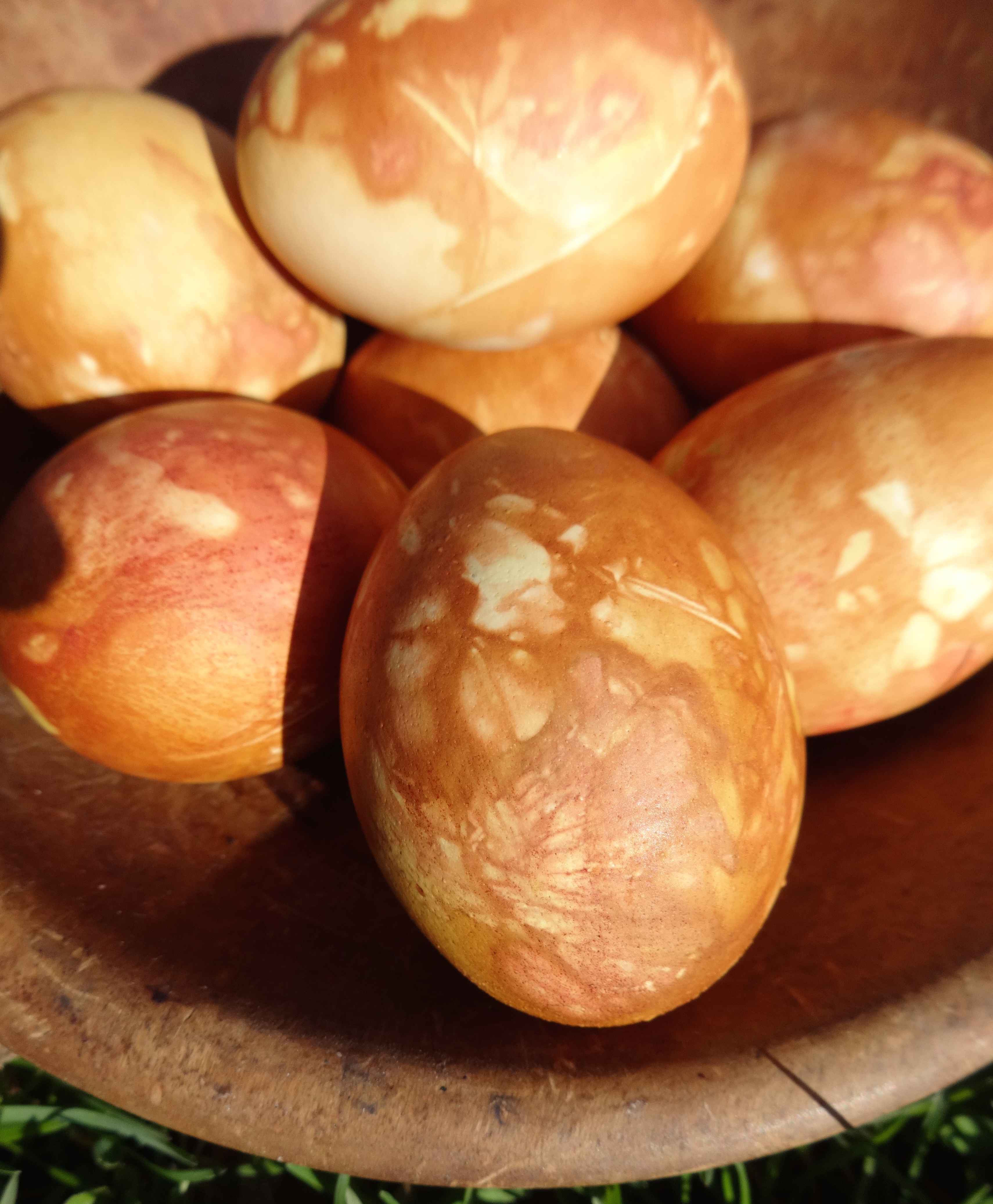 Dutch Dyed Easter Eggs-Close-up One Best Egg-Apr-16-14 copy-crop.jpeg