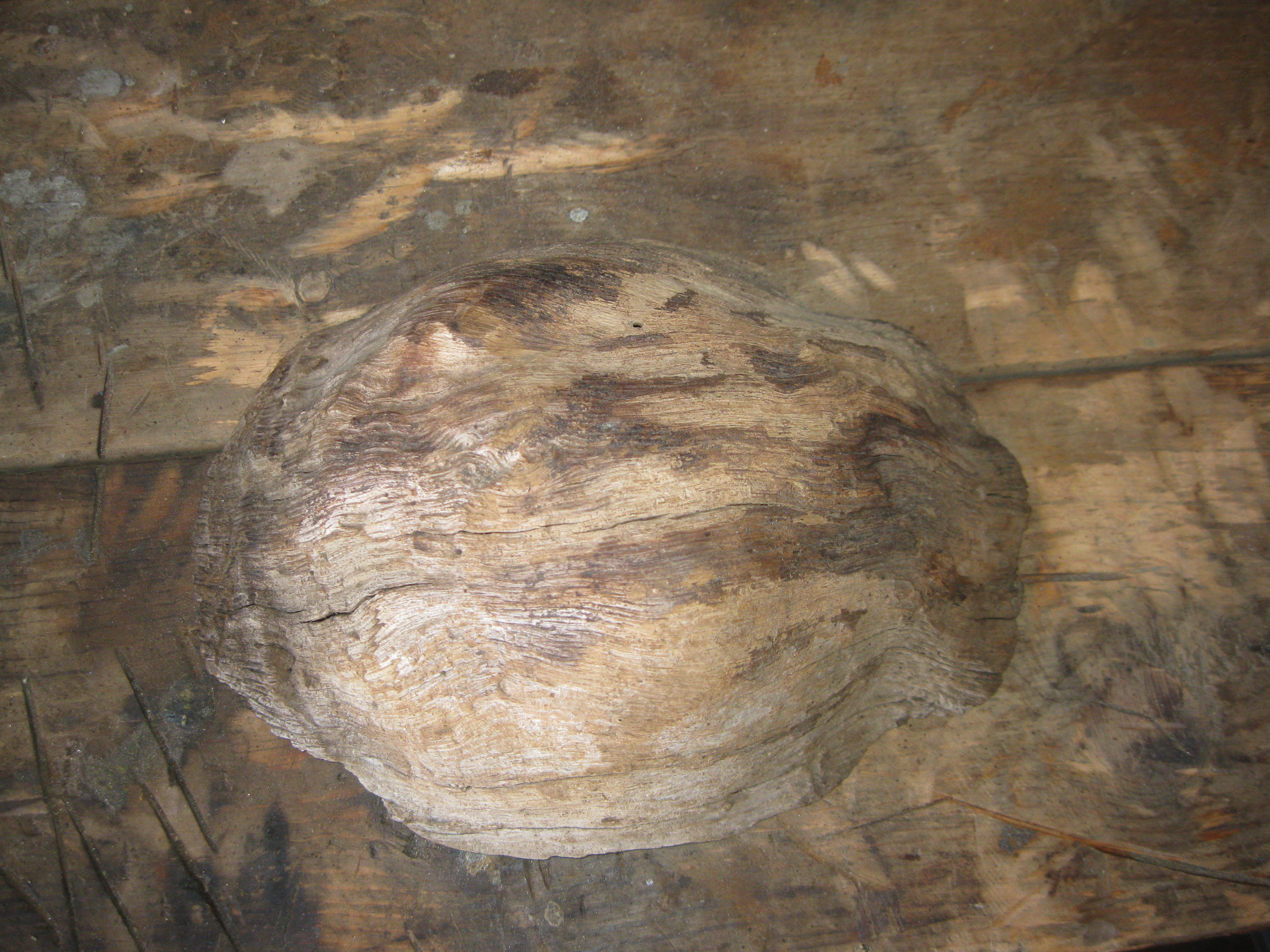 For Make somthing epic burl bowl 046.JPG