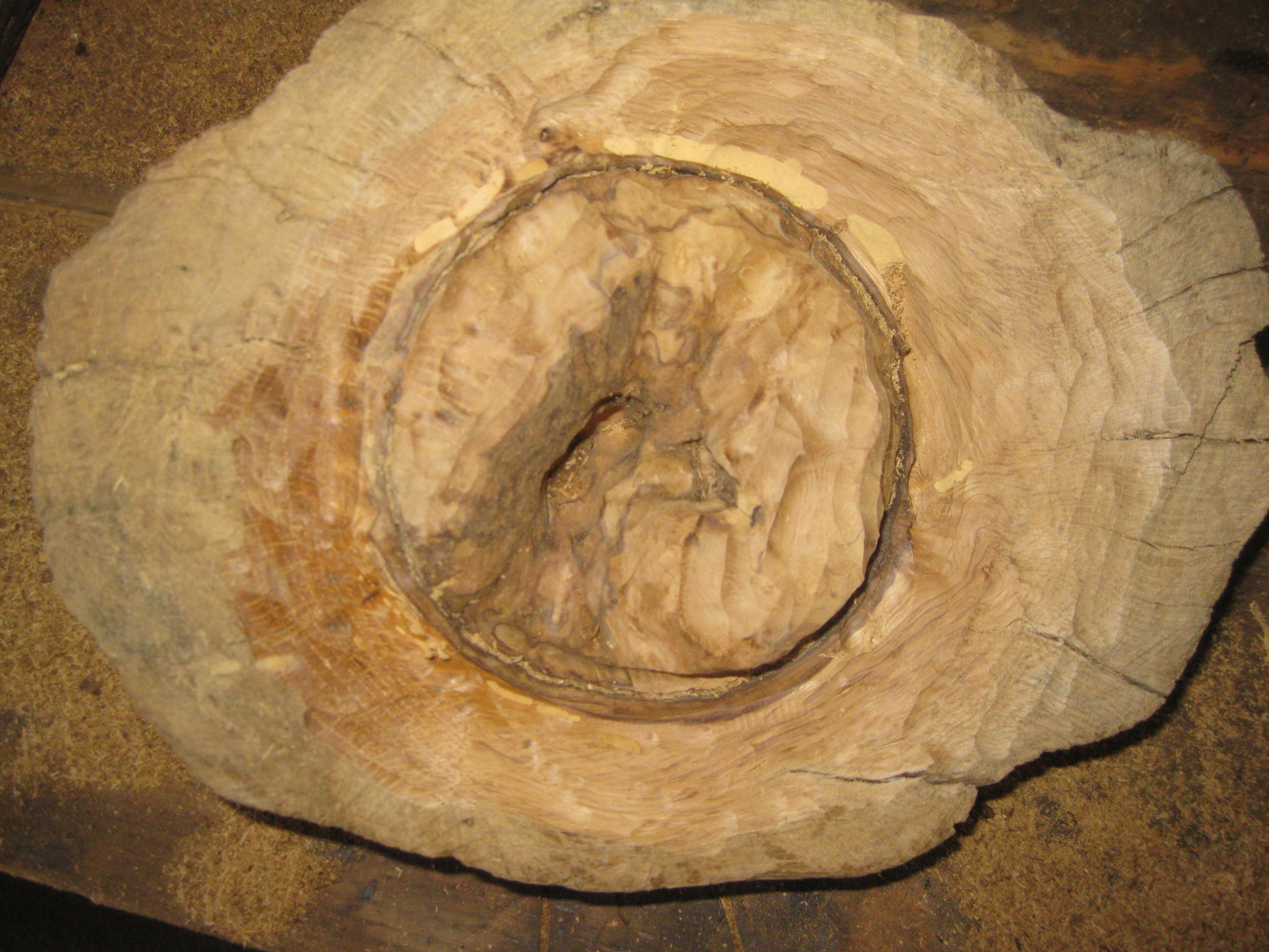 For Make somthing epic burl bowl 056.JPG