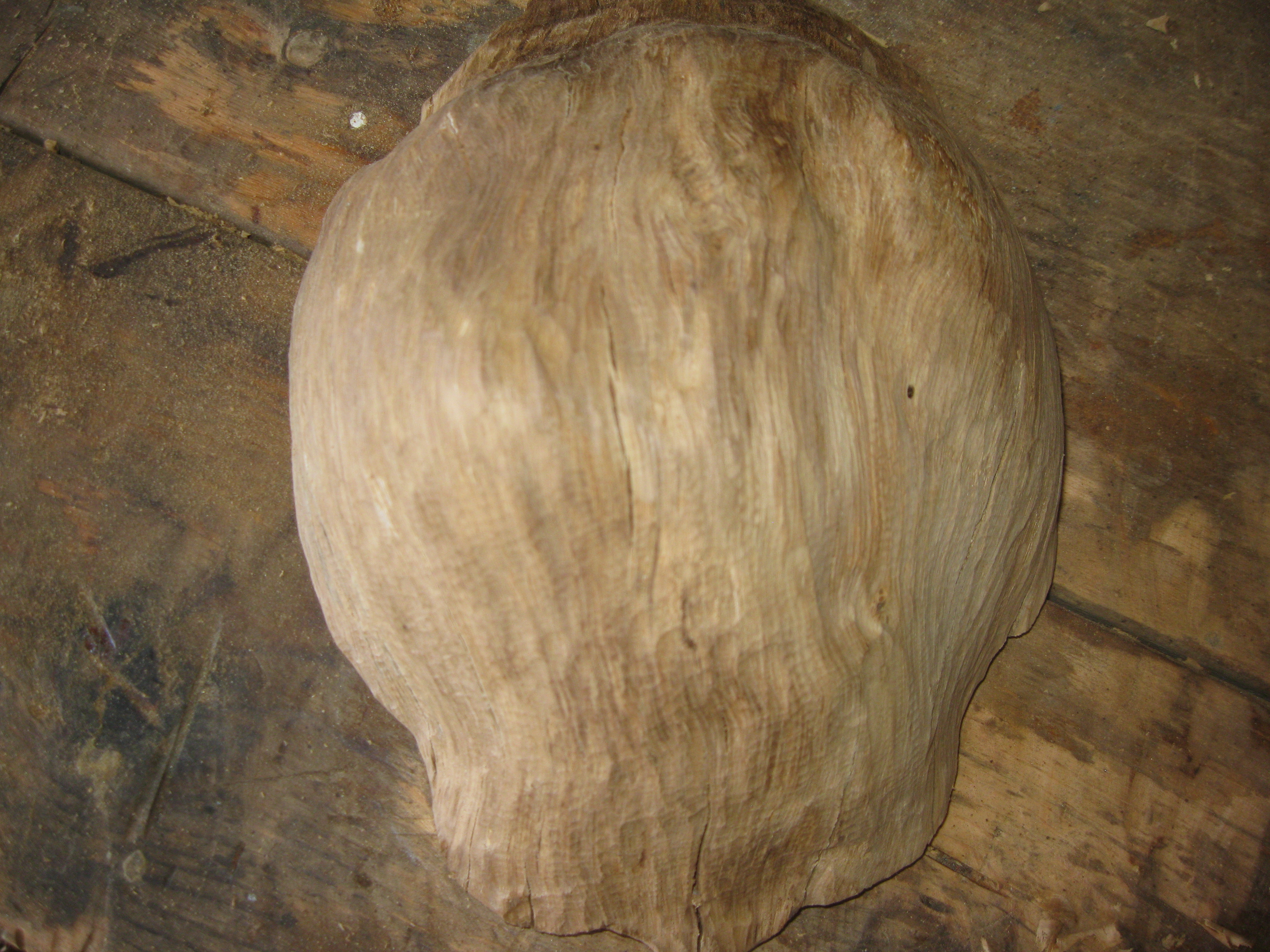 For Make somthing epic burl bowl 069.JPG