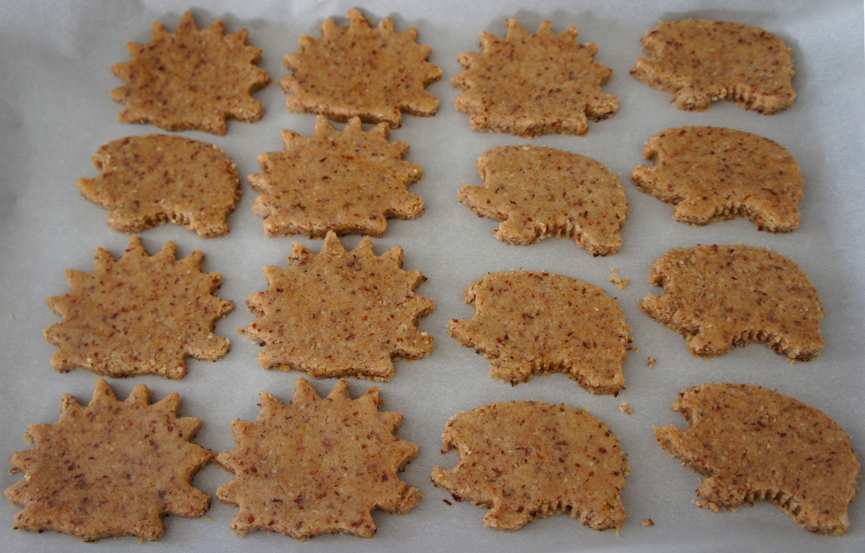 Hedgehogs_on_baking_tray_2.jpg