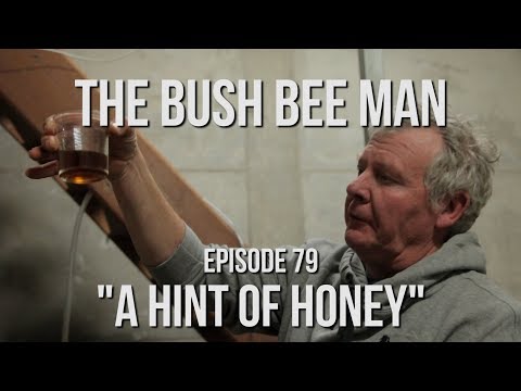 How to make Mead Wine Part 3 - Episode 79: &amp;quot;A Hint of Honey&amp;quot;