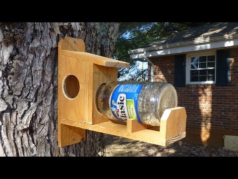 How to make a Squirrel Feeder l Free Plans