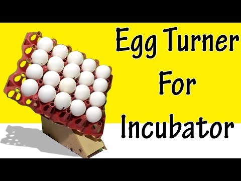 How to make egg turner - how to make incubator egg turner