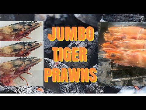 Jumbo Tiger Prawns - on the grill