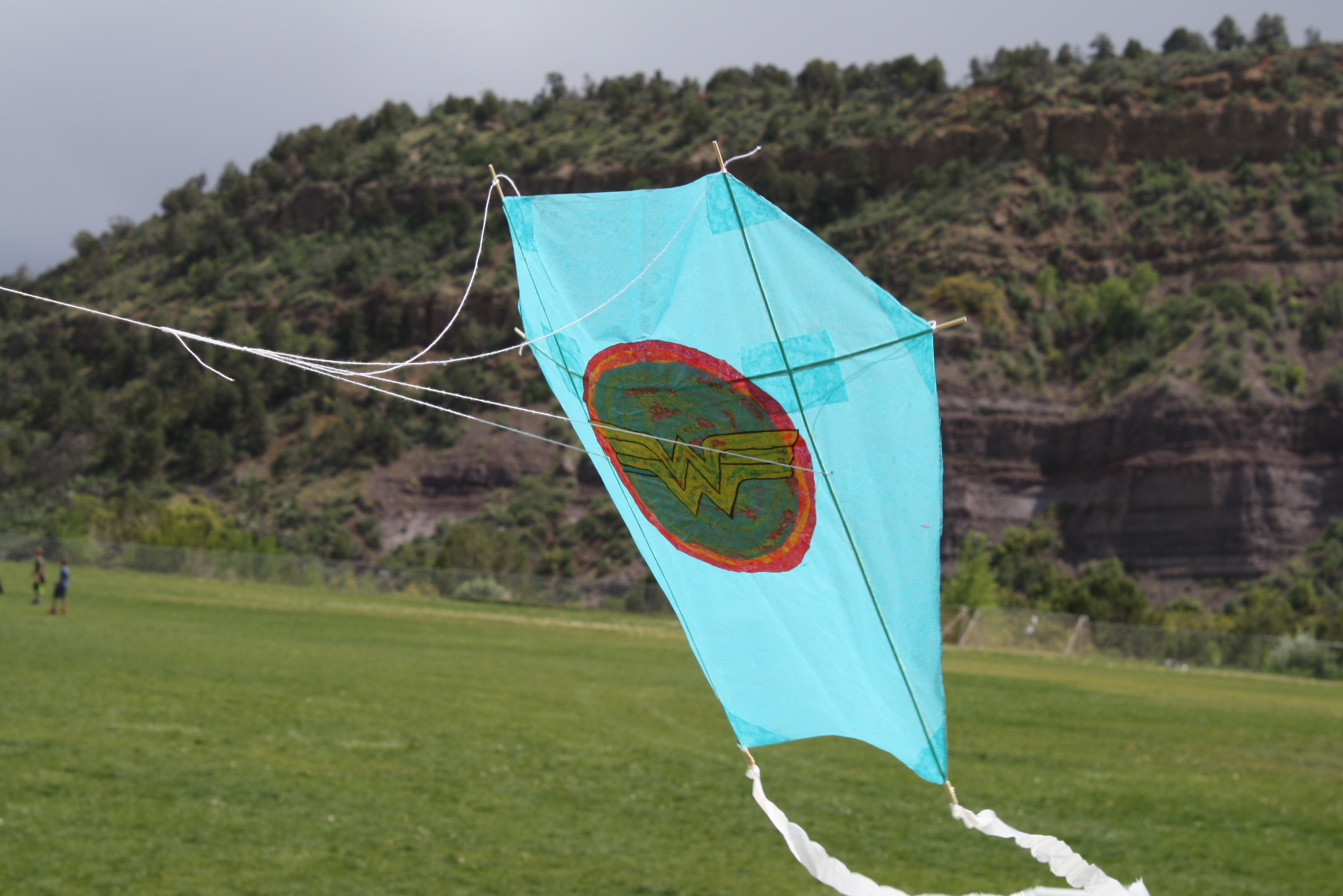 Kites4 049.JPG