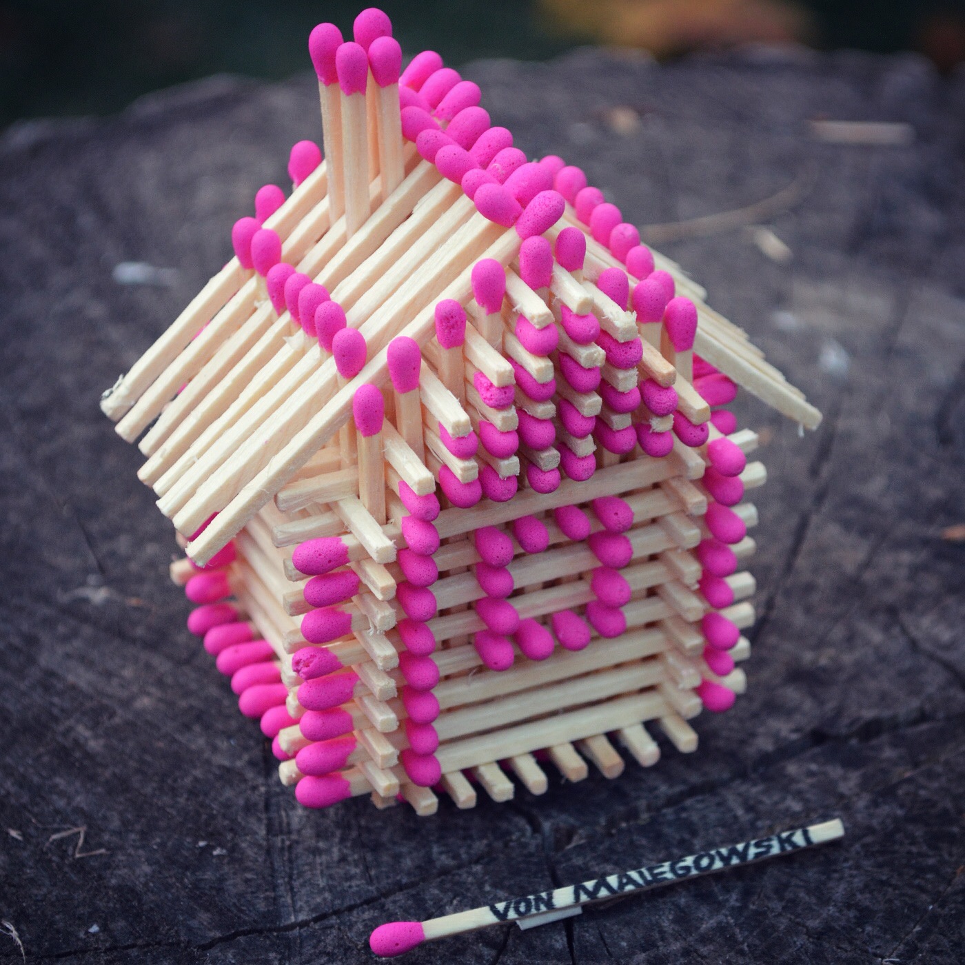 MatchstickHouse(Filter).JPG