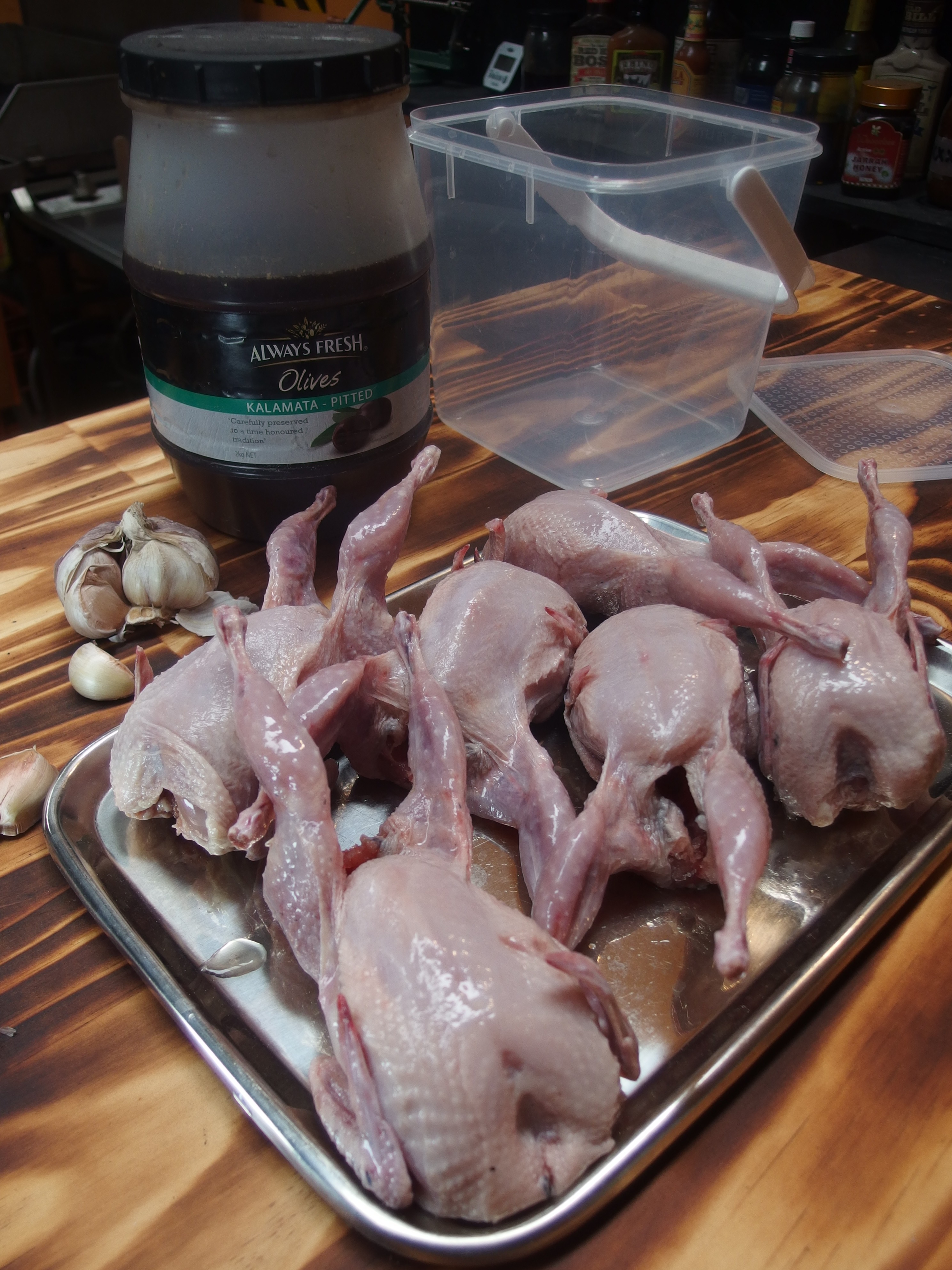 Olive Quail002.JPG