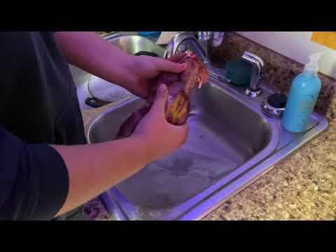 PT 10 of cleaning a pheasant