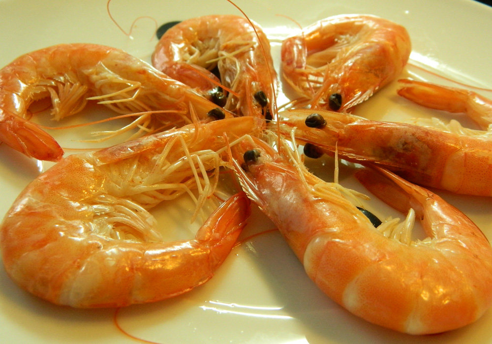 Pasta rellena de gambas 015.JPG