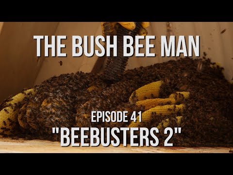 Removing a Wild Hive from a House using a Bee Vacuum - Episode 42: &amp;quot;Beebusters 2&amp;quot;