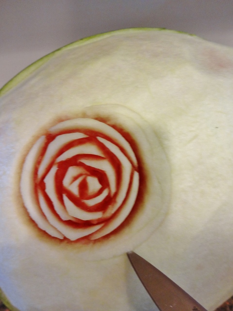 Rose Watermelon 042 (480x640).jpg