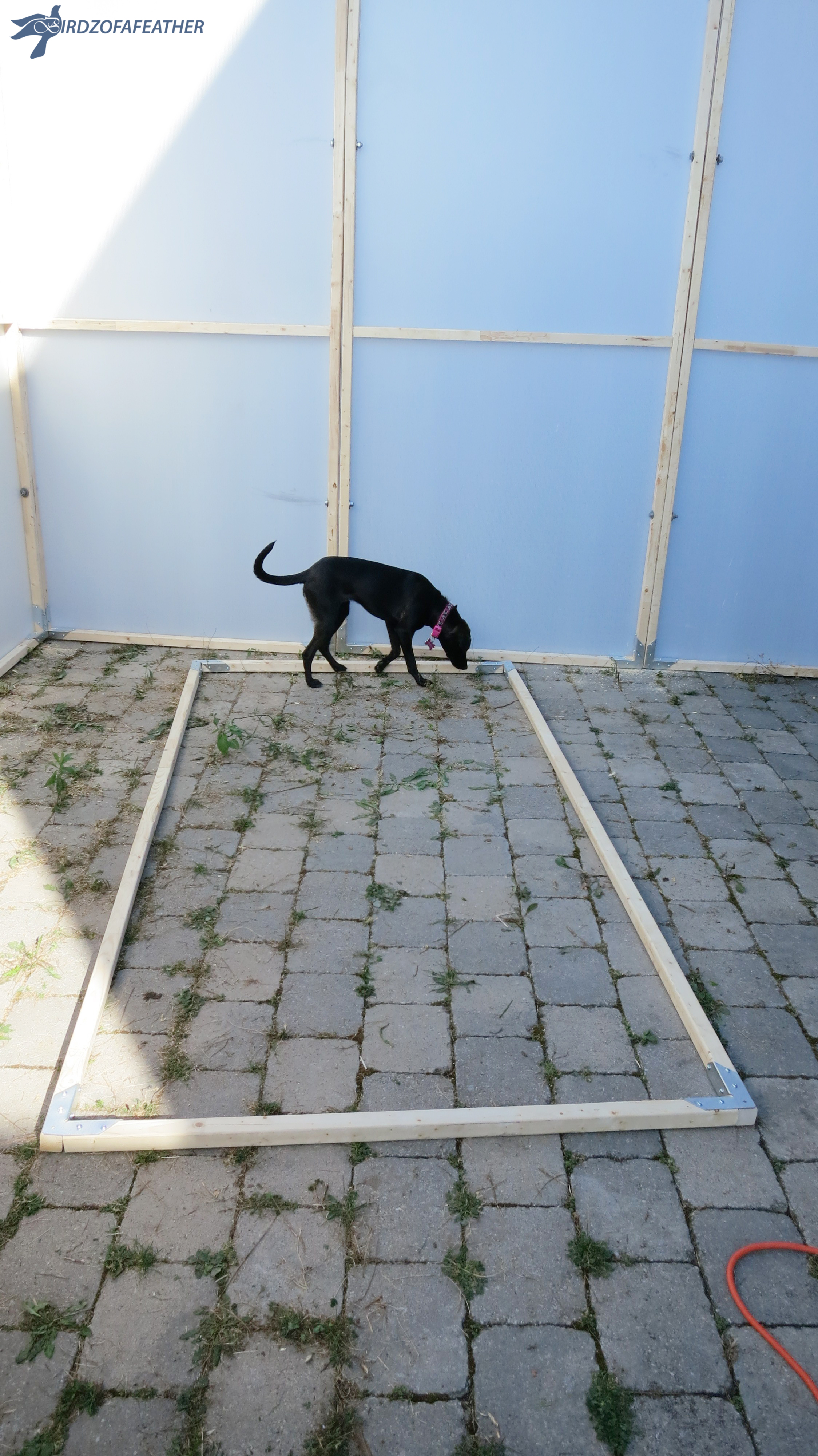 Sukkah Build 129_BOF.jpg