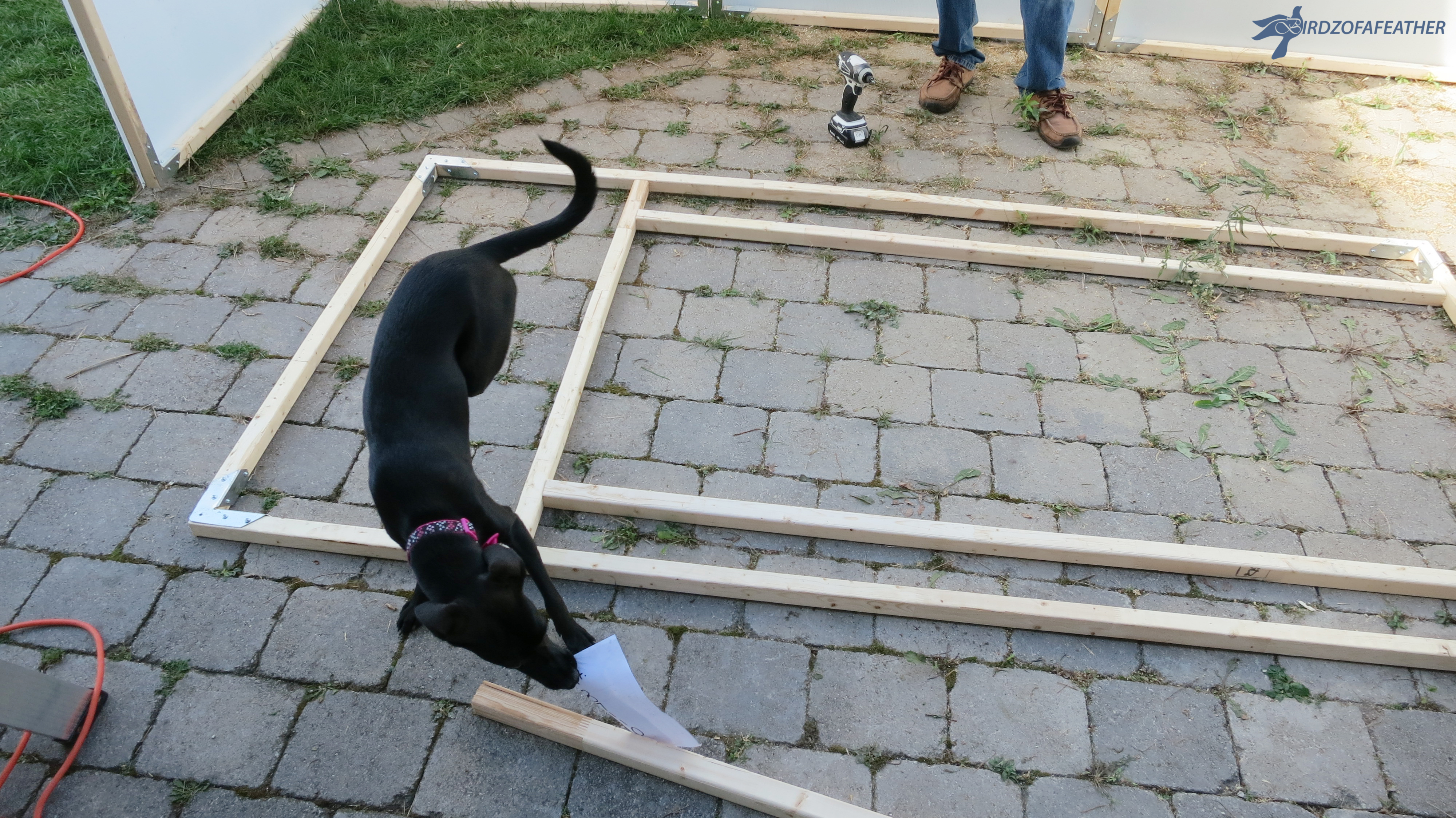 Sukkah Build 216_BOF.jpg