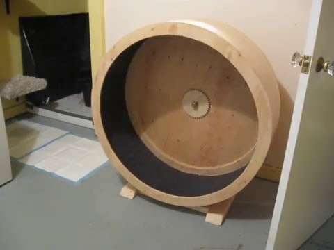 Testing the Cat Wheel