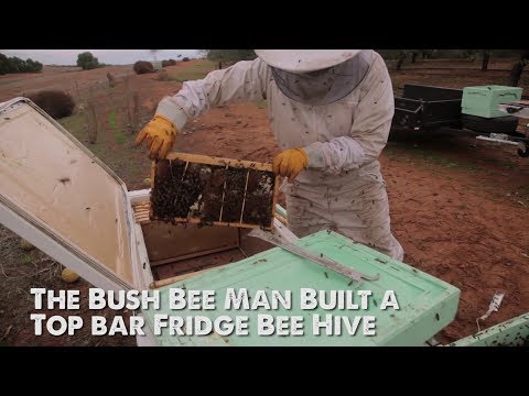 The Bush Bee Man - Top Bar Fridge Bee Hive Build Promo