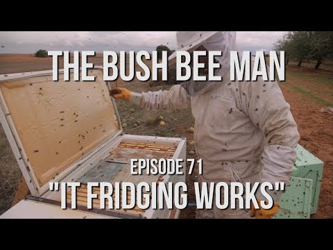 Transferring Bee into the Top Bar Fridge Bee Hive - Episode 71: &amp;quot;It Fridging Works&amp;quot;