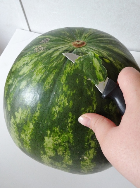 Watermelon Carving 017 (479x640).jpg