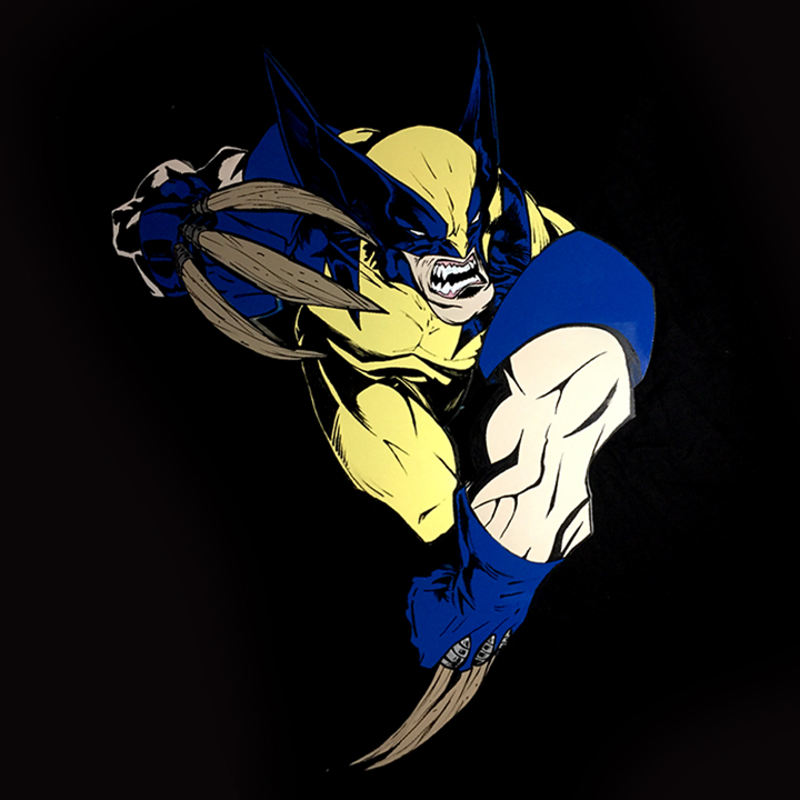 Wolverine Matusda Imgur Cover alternate.jpg