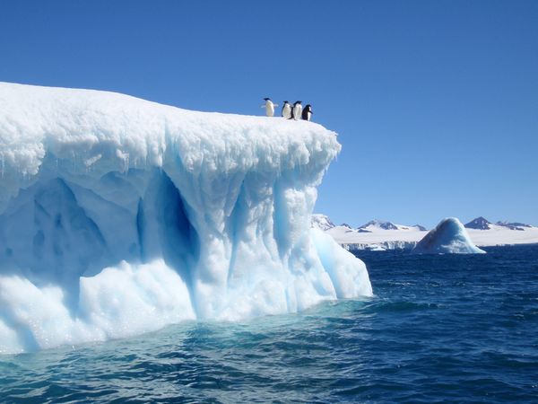 devil-island-iceberg-weddell-sea-adelie-penguins-antarctica_34421_600x450.jpg