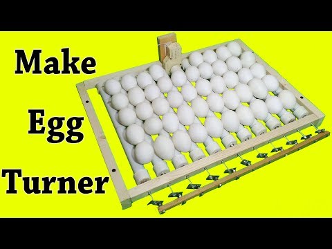 egg turner - egg turner incubator - incubator turner - automatic egg turner - automatic incubator