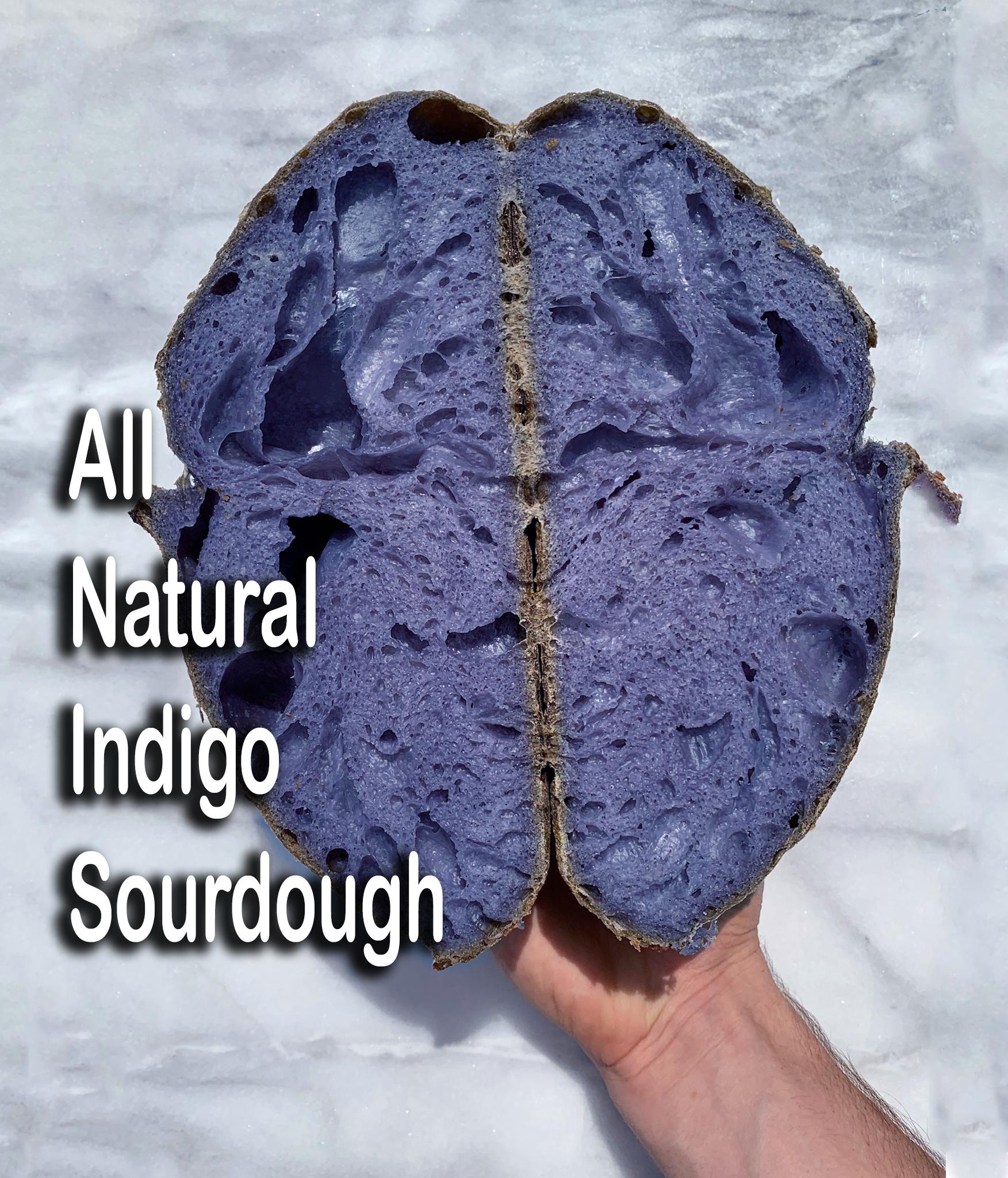 indigo sourough.jpg