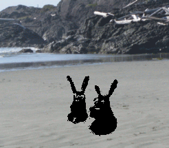 masked-beach.gif