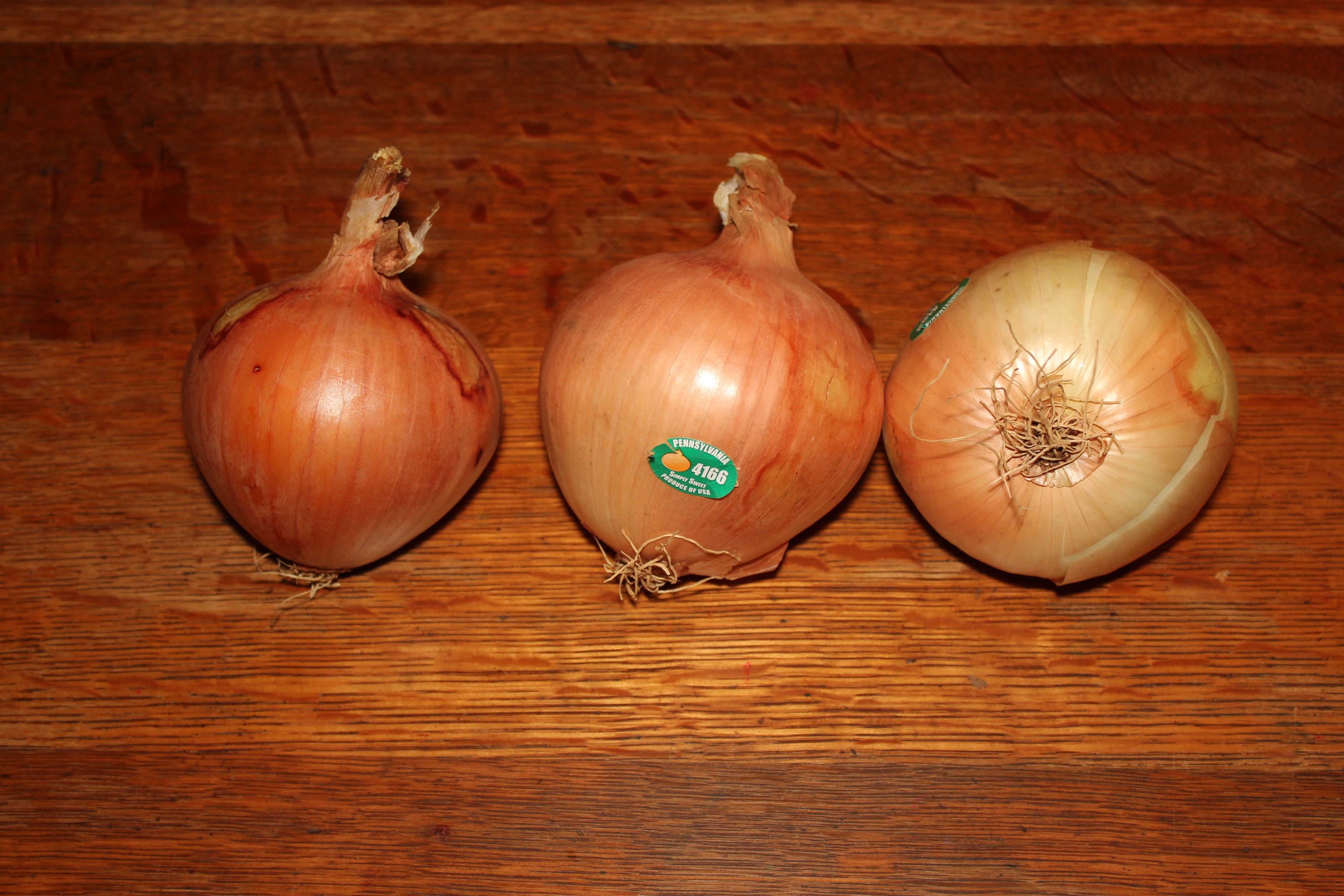 onions.JPG