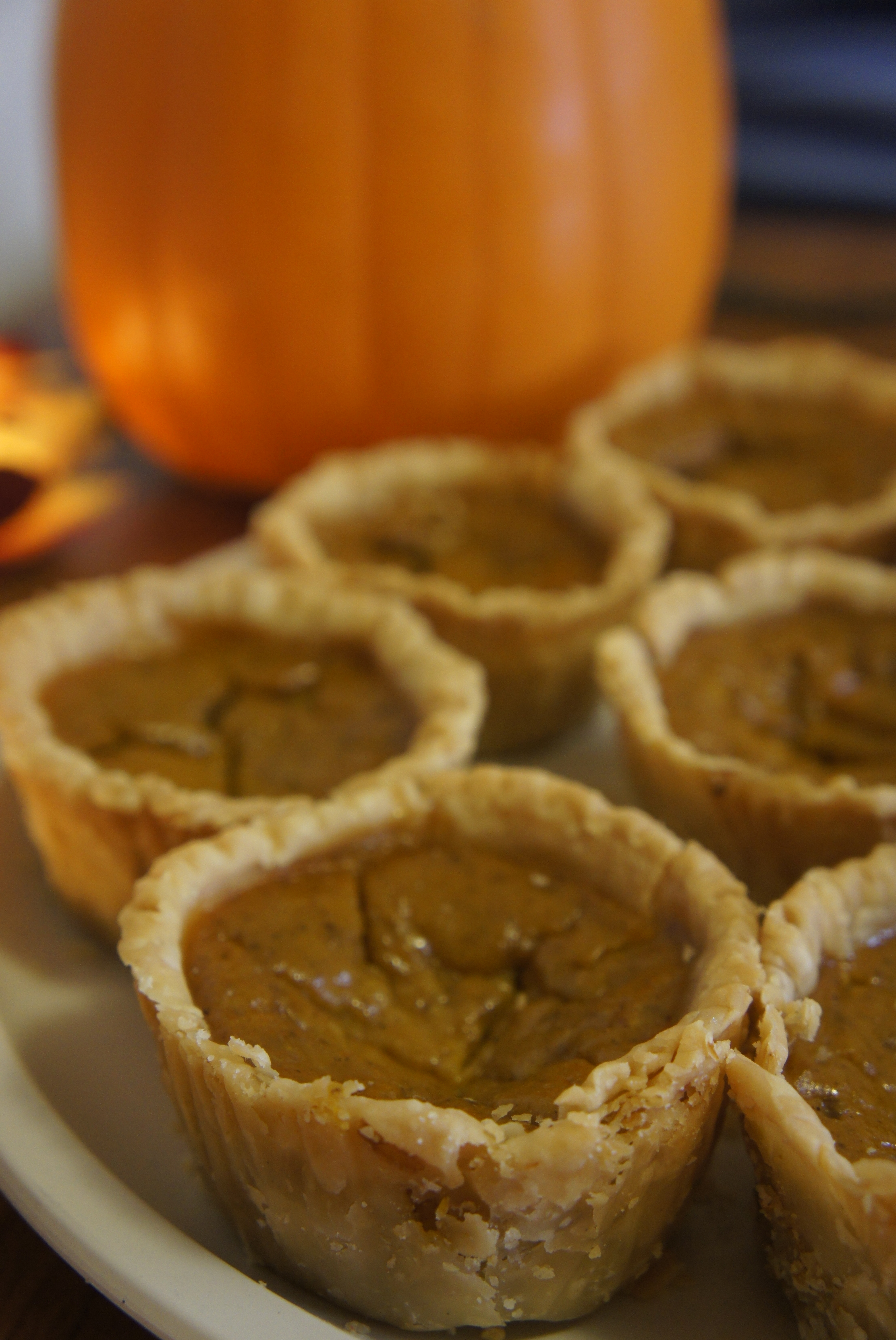 pumpkin_pies_vertical.jpg