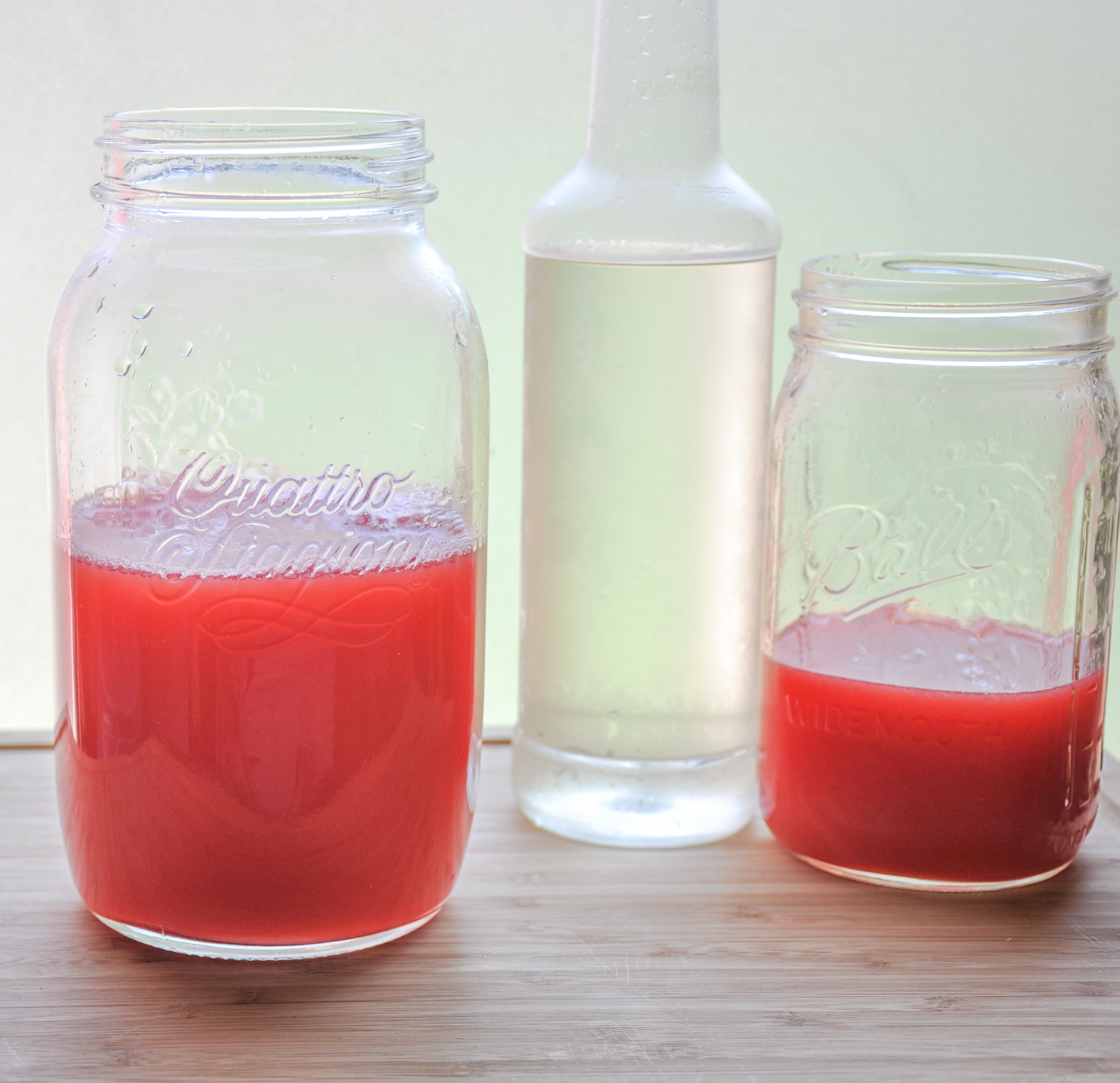 watermelon lemonade-14.jpg