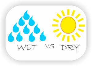 wet-vs-dry.png