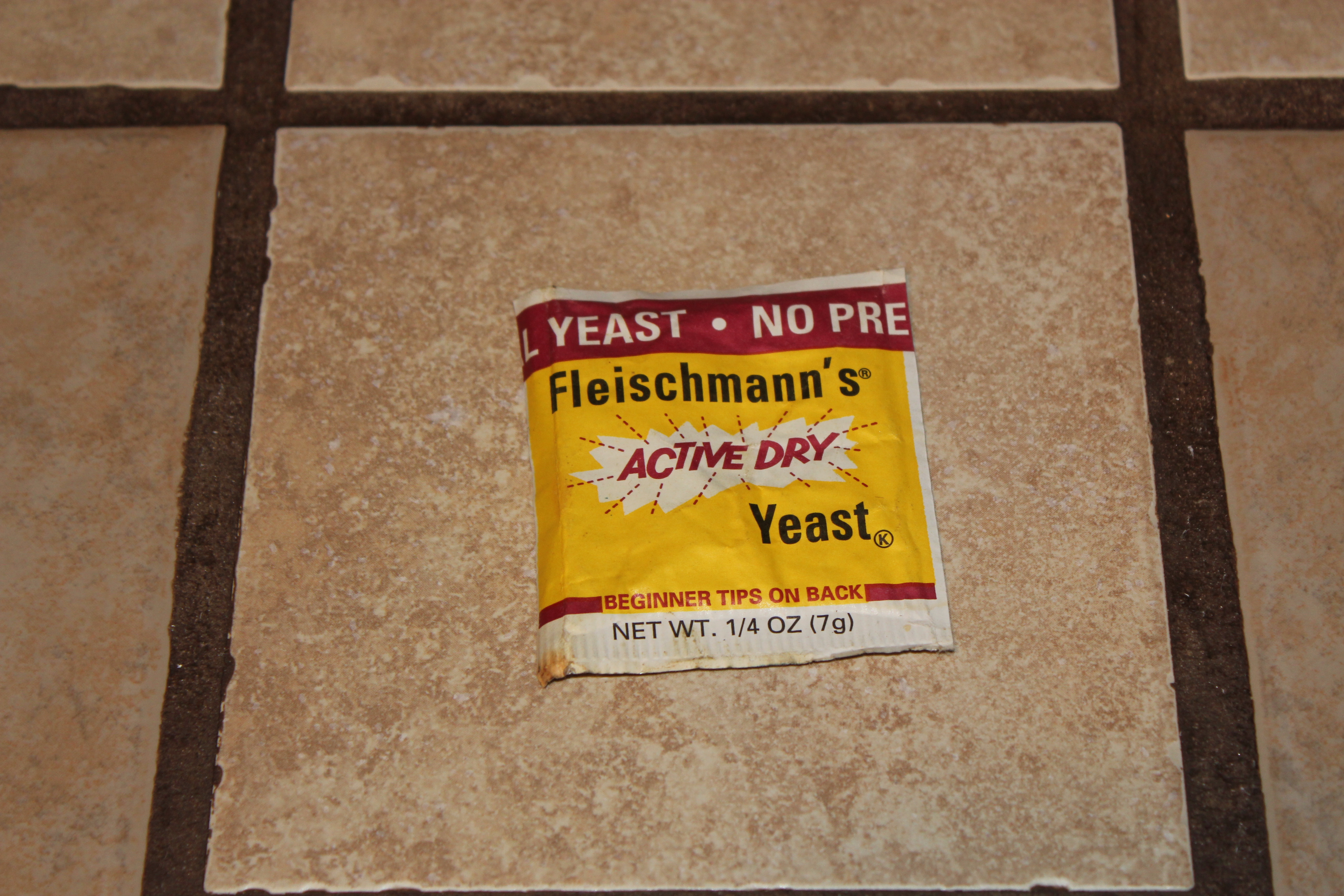 yeast.JPG