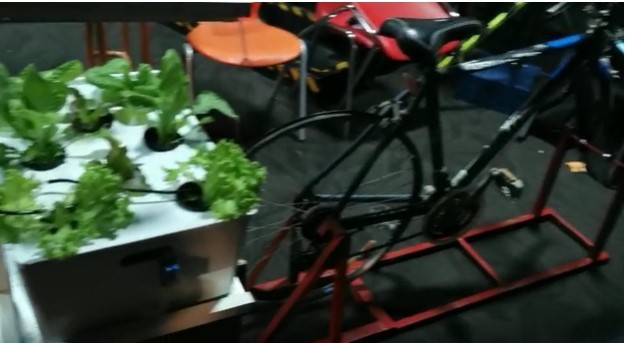 zero-carbon-hydroponics.jpg