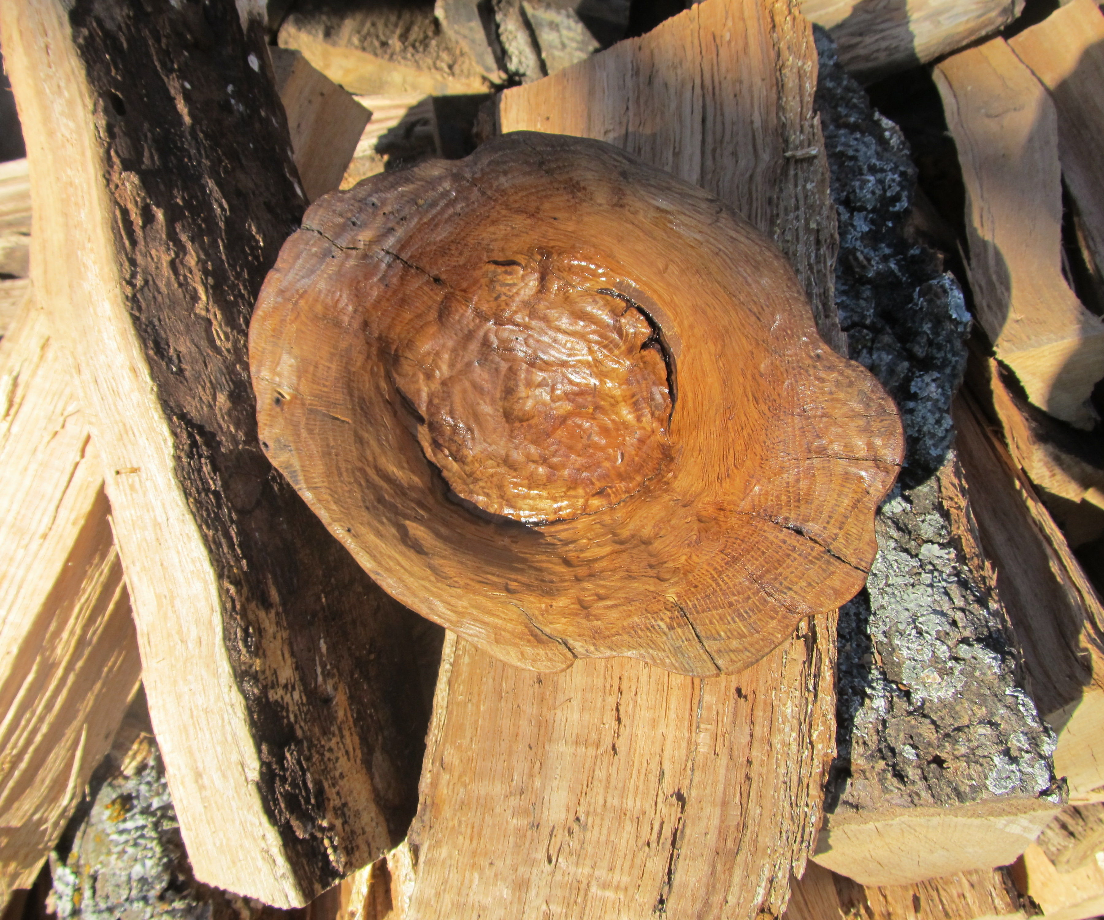 Making a Burl Bowl